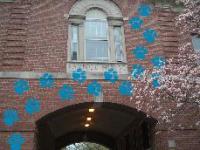 Blue Dogprint Vandalism Apparently Clues