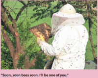 Beekeeper Seems Like He Gets Off On The Whole Thing