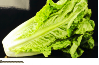 We've Been Shitting in Your Romaine This Whole Time, FDA Reports