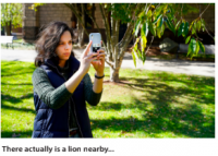 Area Woman Carefully Adjusts Exposure on iPhone Photo Like She National Geographic Photographer