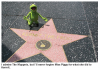 Report: Multiple Puppets Have Star On Hollywood Walk Of Fame And You Do Not