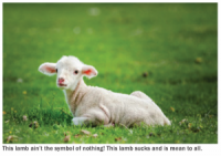Newborn Lamb Sick Of Being Typecast As Symbol Of Spring, Rebirth