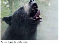 “Cocaine Bear” Delivers Sobering Lesson to Bears on the Dangers of Doing Cocaine