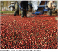 Report: Hee Hee Hee! You’ve Stumbled Right Into My Cranberry Bog! I’ve Prepared For A Specimen Like You For Quite Some Time