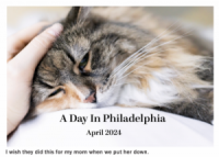 iPhone Photos App Creates Heartwarming Memory Slideshow of Family Putting Cat Down